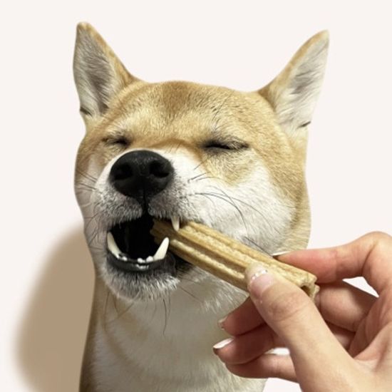 펫생각 하루치카 소형 톱니형 강아지 덴탈 껌 21개입