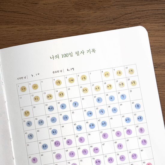 처음사는어른 필사책 독서기록장 만년필 노트