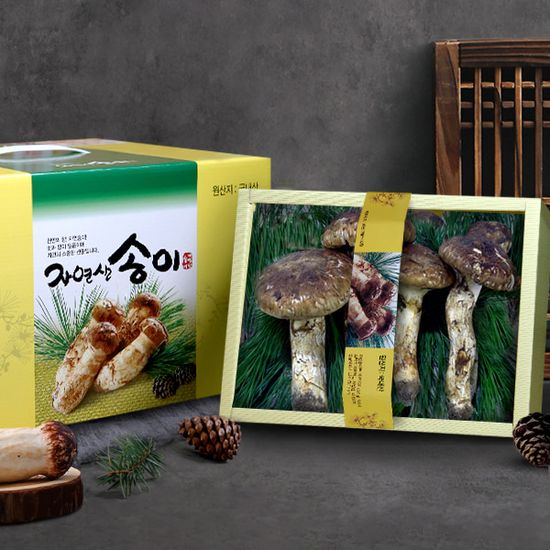 [송림山속]강원도자연산송이버섯500g/개산품6~14뿌리