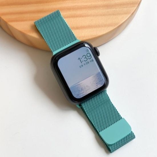 애플워치 마그넷 자석 컬러 스트랩 4color