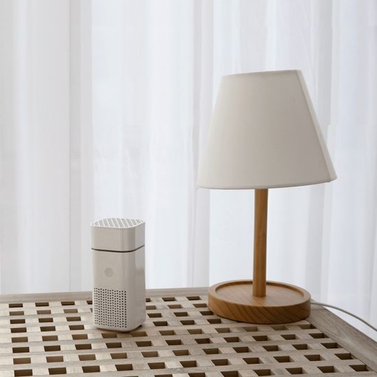 쿨린 하이브케어 차량용 공기청정기 CL-100