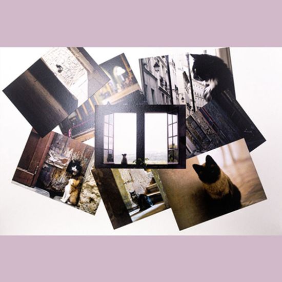 Cat&Black 고양이 사진 감성 인테리어 포토 엽서 8종