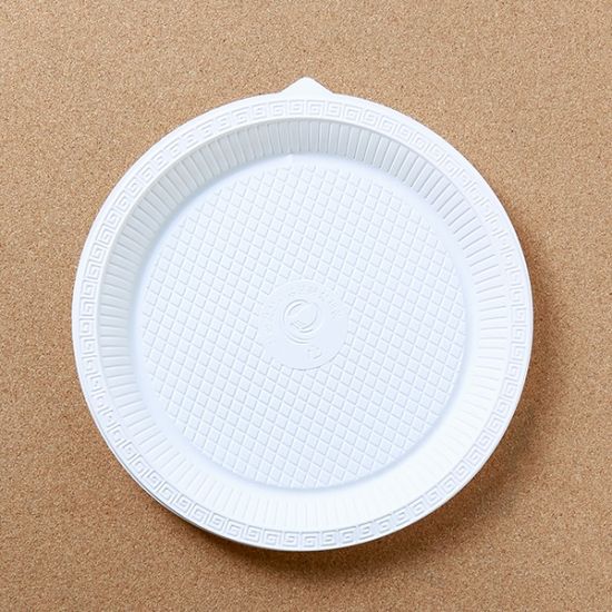 10p 롯데 일회용 접시(23cm)/일회용접시 야외용그릇
