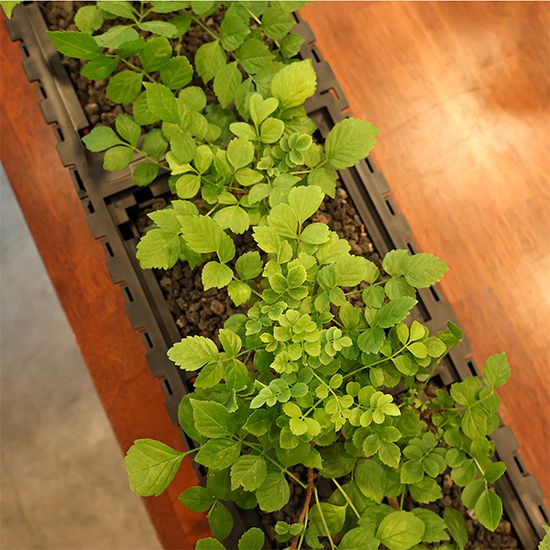 모던 인테리어 디자인 화분