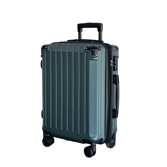 비기캐리어 뉴보나 중형 하드캐리어 63cm 24인치