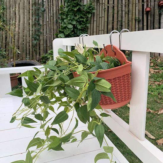 로지 라탄 무늬 벽걸이 인테리어 대용량 화분