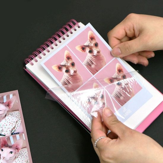 올마인 탁상 네컷앨범