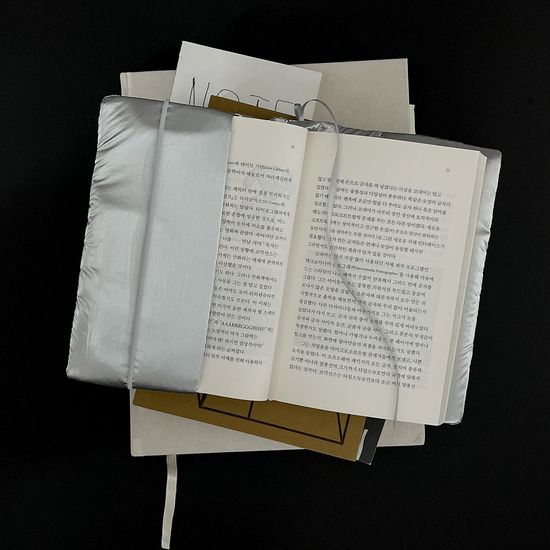 Snug Book Cover-스너그 북커버 Silver