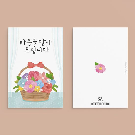 캘리그라피카드 감사카드 6종세트