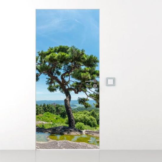 fa126-소나무가있는곳_현관문시트지