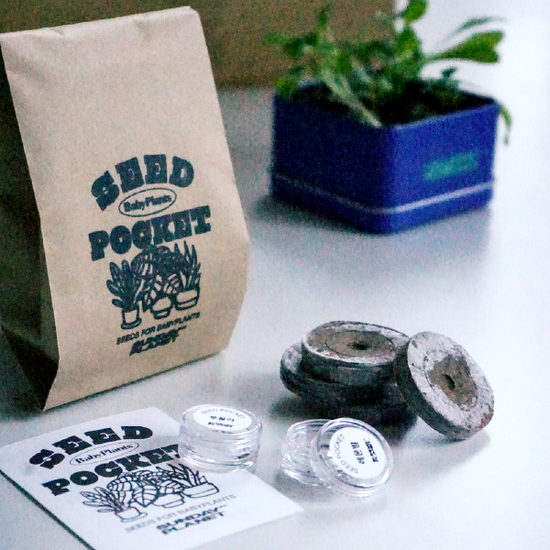 Seed Pocket 씨드포켓