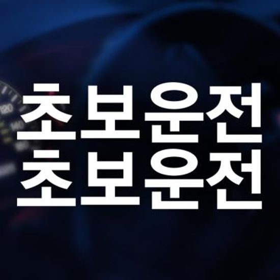 자동차스티커 초보운전스티커 016