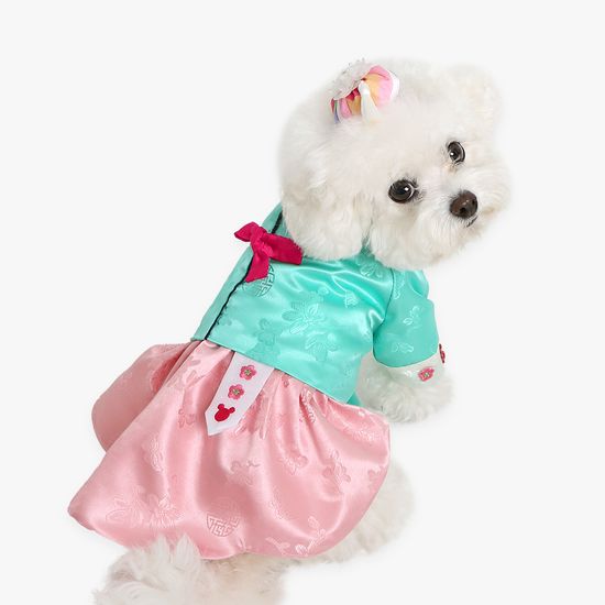 디즈니 미니 공주 한복