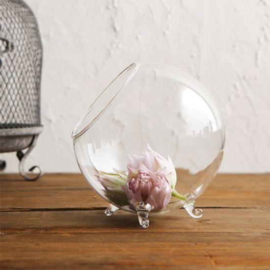 LB534-12 미니테라리움 유리꽃화병