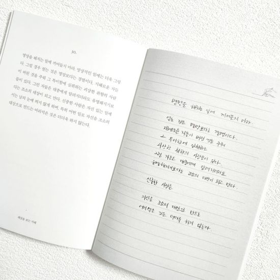 세상을 보는 지혜 필사 노트