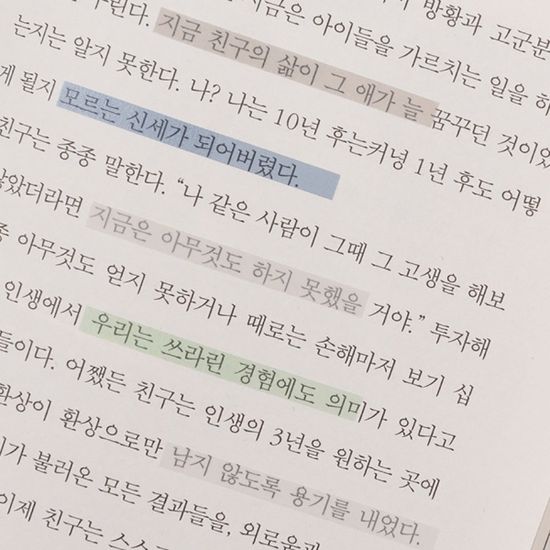 툴러 독서용 스모키 미니 플래그