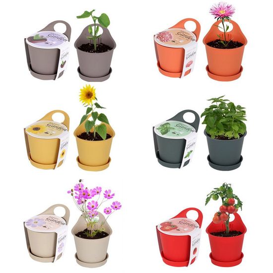 집에서키우기쉬운식물 재배 세트(W85CB2A)