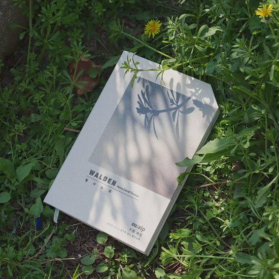 필사노트 수집 :월든