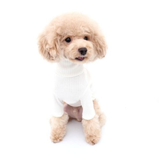 강아지 겨울옷 폴라 레이어드 골지넥 티셔츠 화이트[W