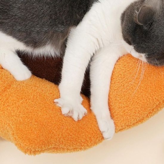 애견 강아지 고양이 한라봉 선인장 펫 방석 쿠션