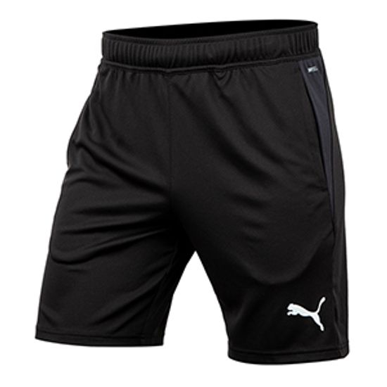 푸마 팀골 트레이닝 쇼트(65864303)
