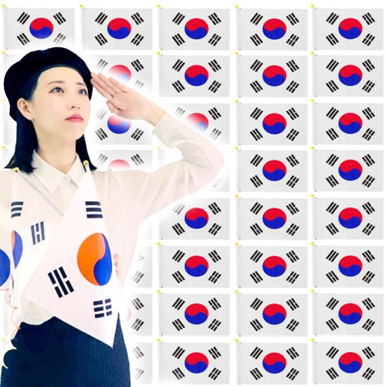 원단 태극기 100개입 ( 30cm X 20cm / 깃대포함)