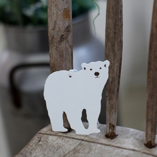 디비디 테그 세트 - Polar Bear