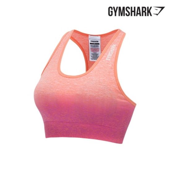 짐샤크 아답트 옴브레 심리스 스포츠브라 (GLSB5546)