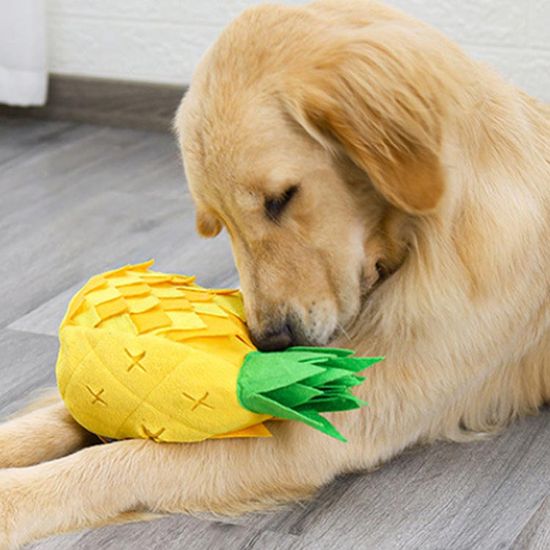 파인애플 노즈워크 간식 분리불안 훈련용품