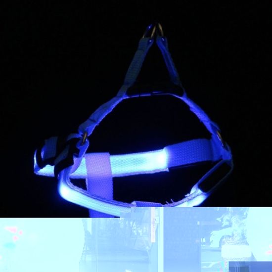 LED 강아지 하네스 가슴줄(L) (블루) 버클 애견가슴줄