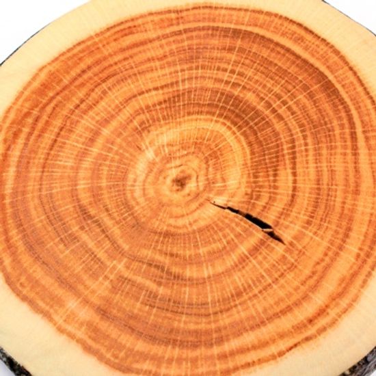 통나무 원형방석/학생선물용 사무실 패브릭 의자방석