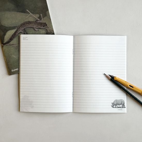 [3+1] 쥬노 신학기 디자인노트_고리도롱뇽