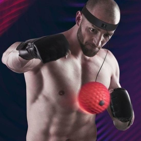  복싱 탭볼 펀칭볼 복싱볼 바운스볼 위빙볼 복싱