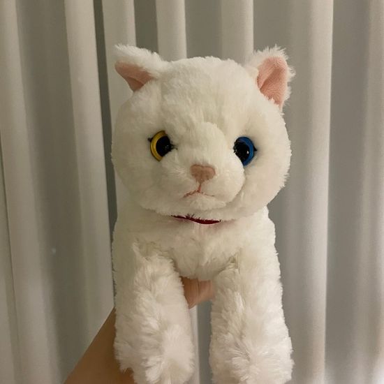 무릎인형★고양이(오드아이/러시안블루)(히자네꼬)
