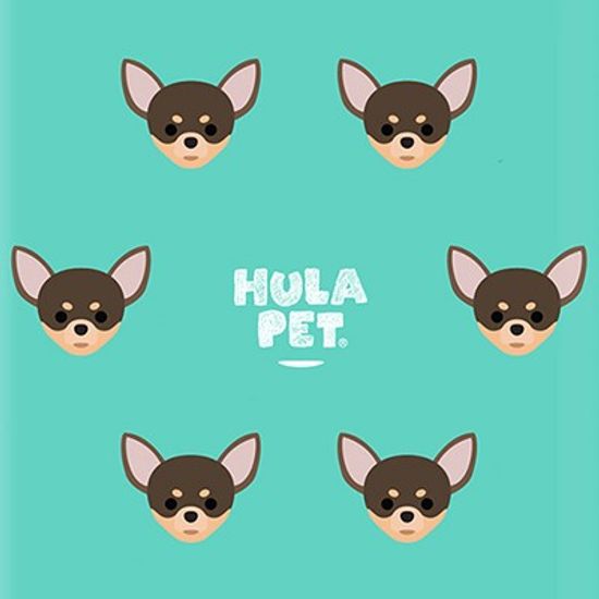 HULA PET PATTERN CASE (Chihuahua) / 아이폰 케이스