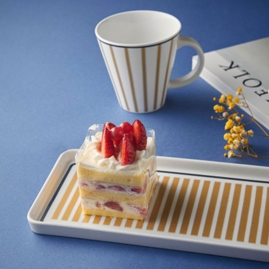 스텔라 6인 홈세트 31p 신혼그릇