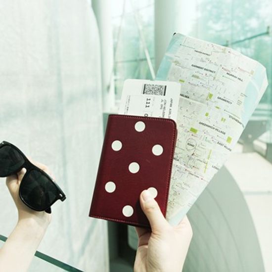 E-PASSPORT SHIELD DOT