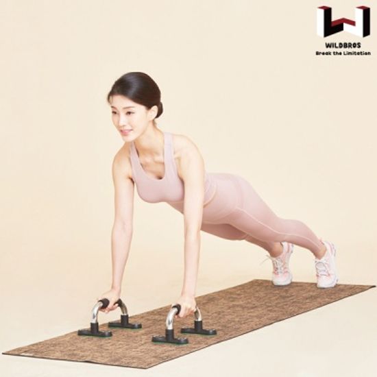 와일드브로스 크롬 푸쉬업바 경사형