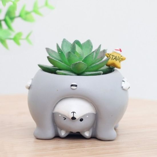 ROOGO 루고 다육이 화분 거꾸로 보는 세계 고양이