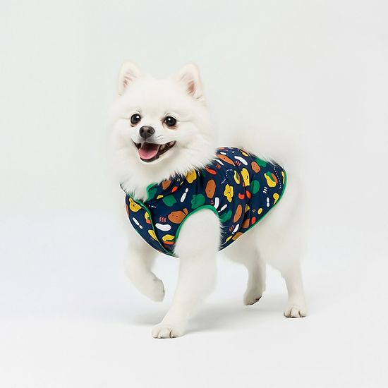 레토 초경량 강아지 패딩 후리스 양면형 LDC-C01P