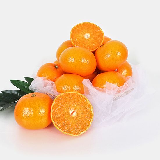 [고랑몰라] 제주 천혜향 9kg(41-50과) (가정용)