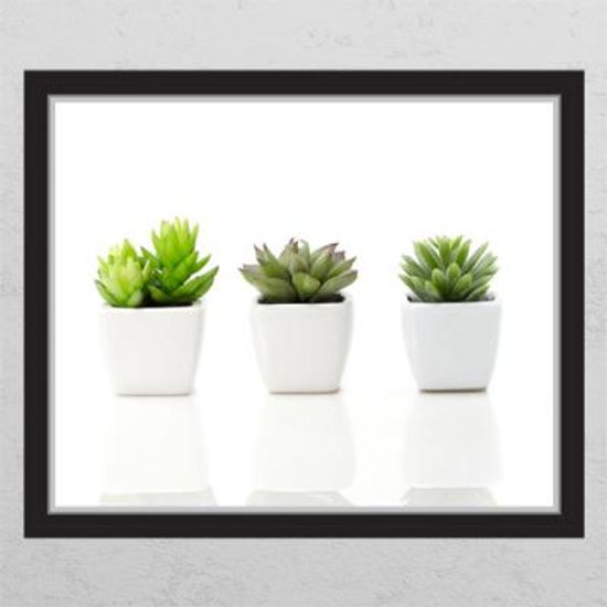 ij434-작은선인장_창문그림액자