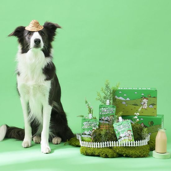 펫생각 하루조이 행양행댕 산양유 펫밀크 10개입