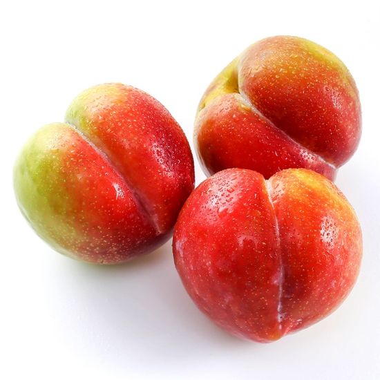 [초록자연] 추희 자두 3kg (24-27과) (특) 선물세트