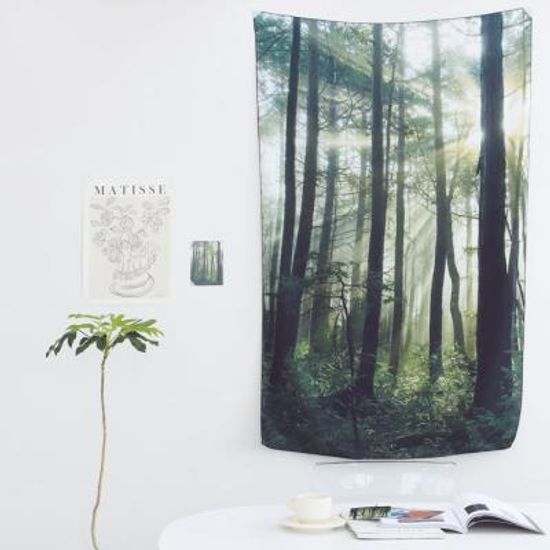 비자림 포레스트 쉬폰 패브릭포스터 겸 가리개커튼