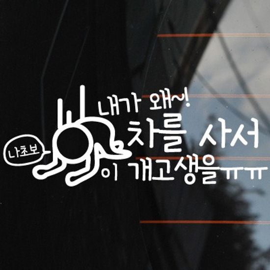 내가왜 차를사서 - 초보운전스티커(431)