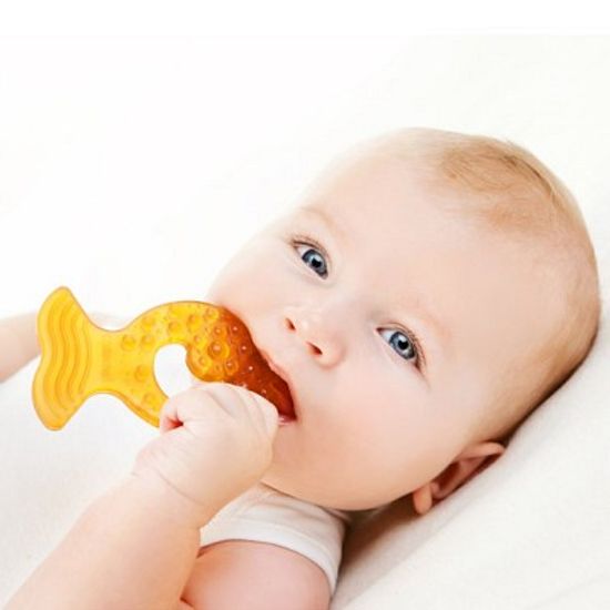 신생아완구_물고기 치발기