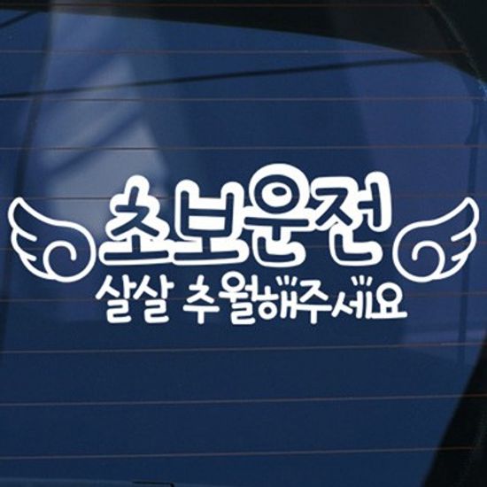 초보운전 살살추월해주세요 - 초보운전스티커(74)