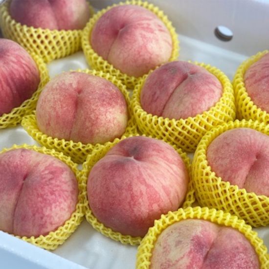 딱복 딱딱한 복숭아 털복숭아 4kg