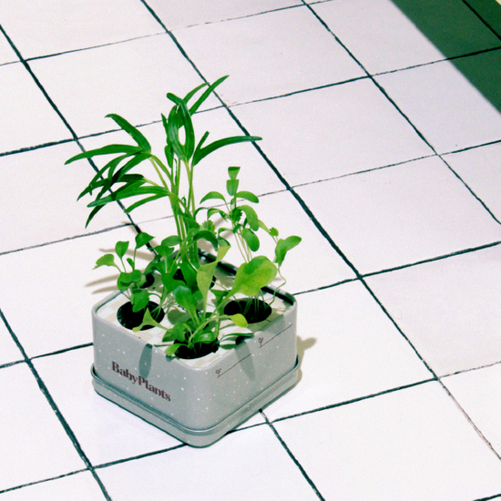 Baby Plants - Taste Test
